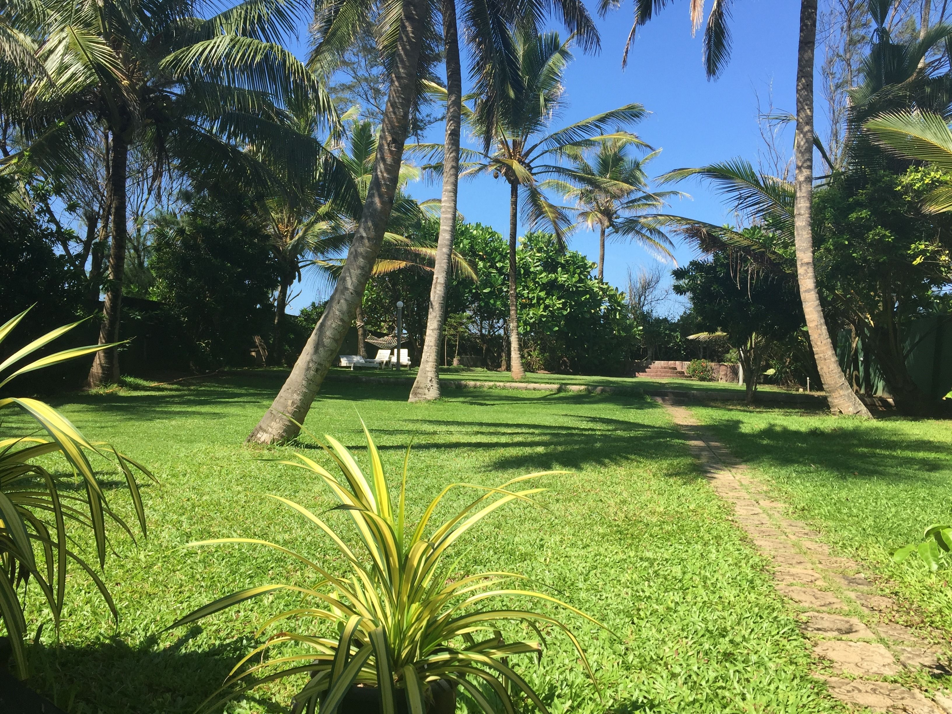 Vista desde la propiedad