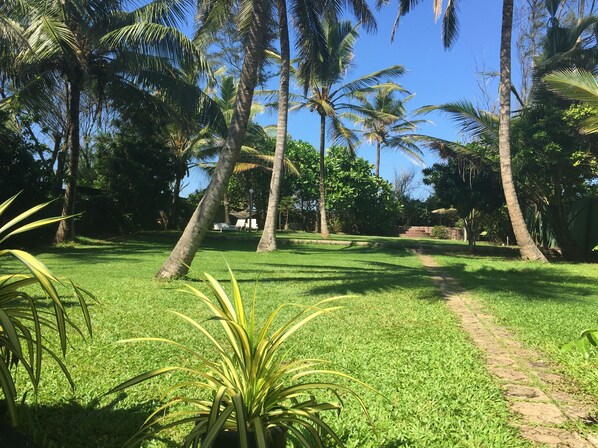 View from property - Ziegler Cottage (Negombo)