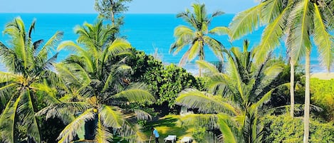 Piscine extérieure, cabanons gratuits, parasols de plage