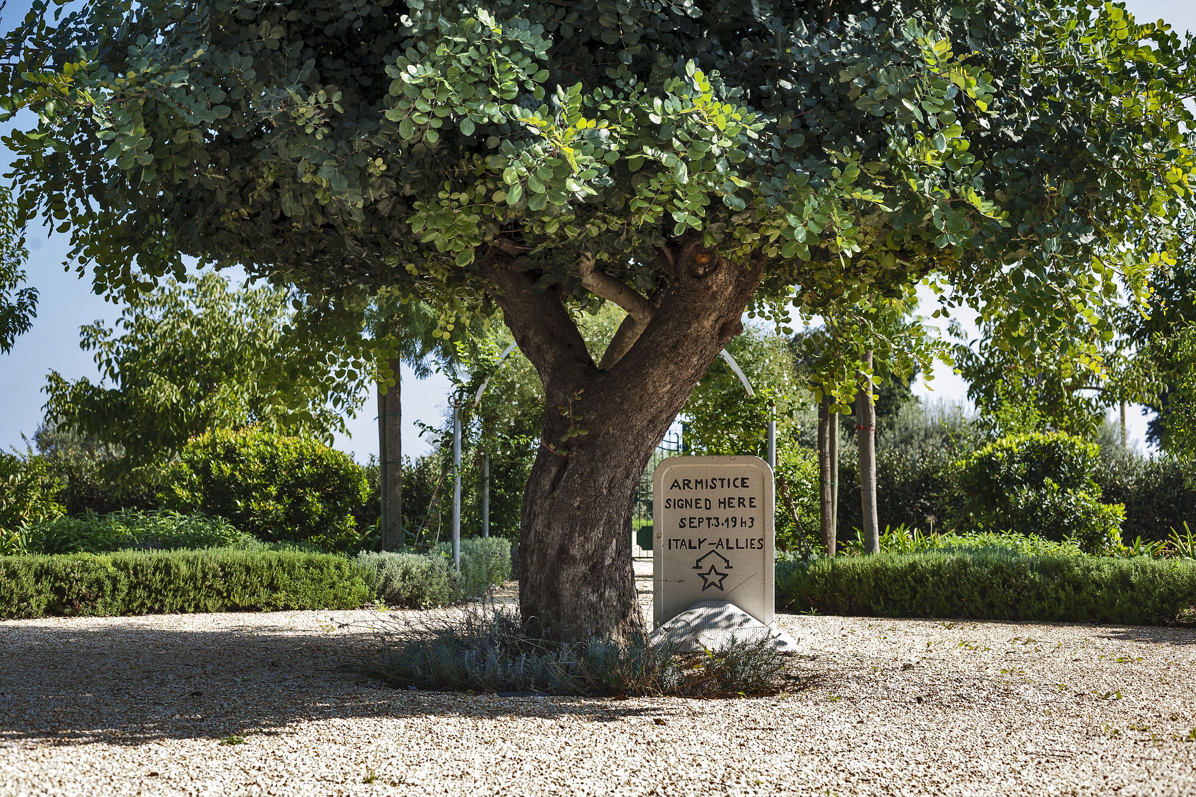 A sign under a tree with text and a star symbol.