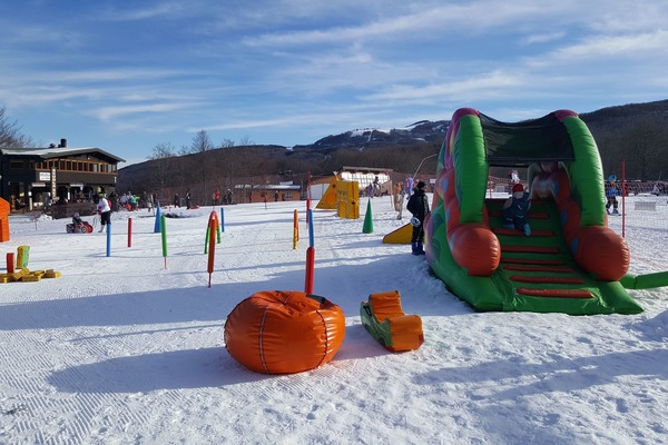 Parco avventura (team building)