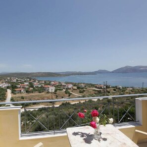 View from property - Villa Christine (Kymi-Aliveri)