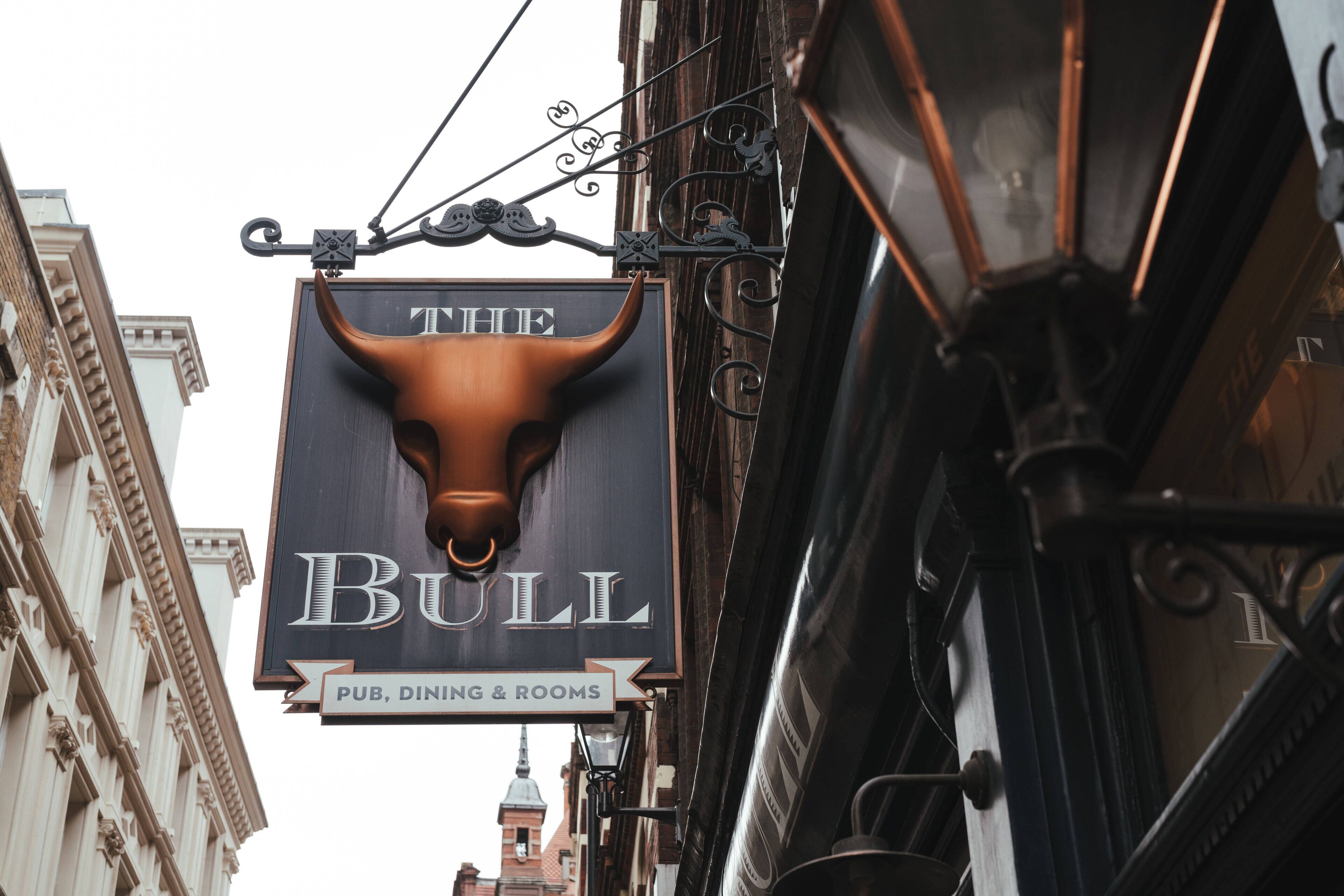 Foto - The Bull and The Hide