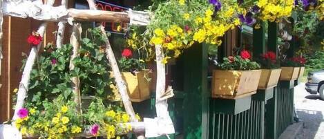 Une structure en bois ornée de jardinières suspendues contenant différentes sortes de fleurs.