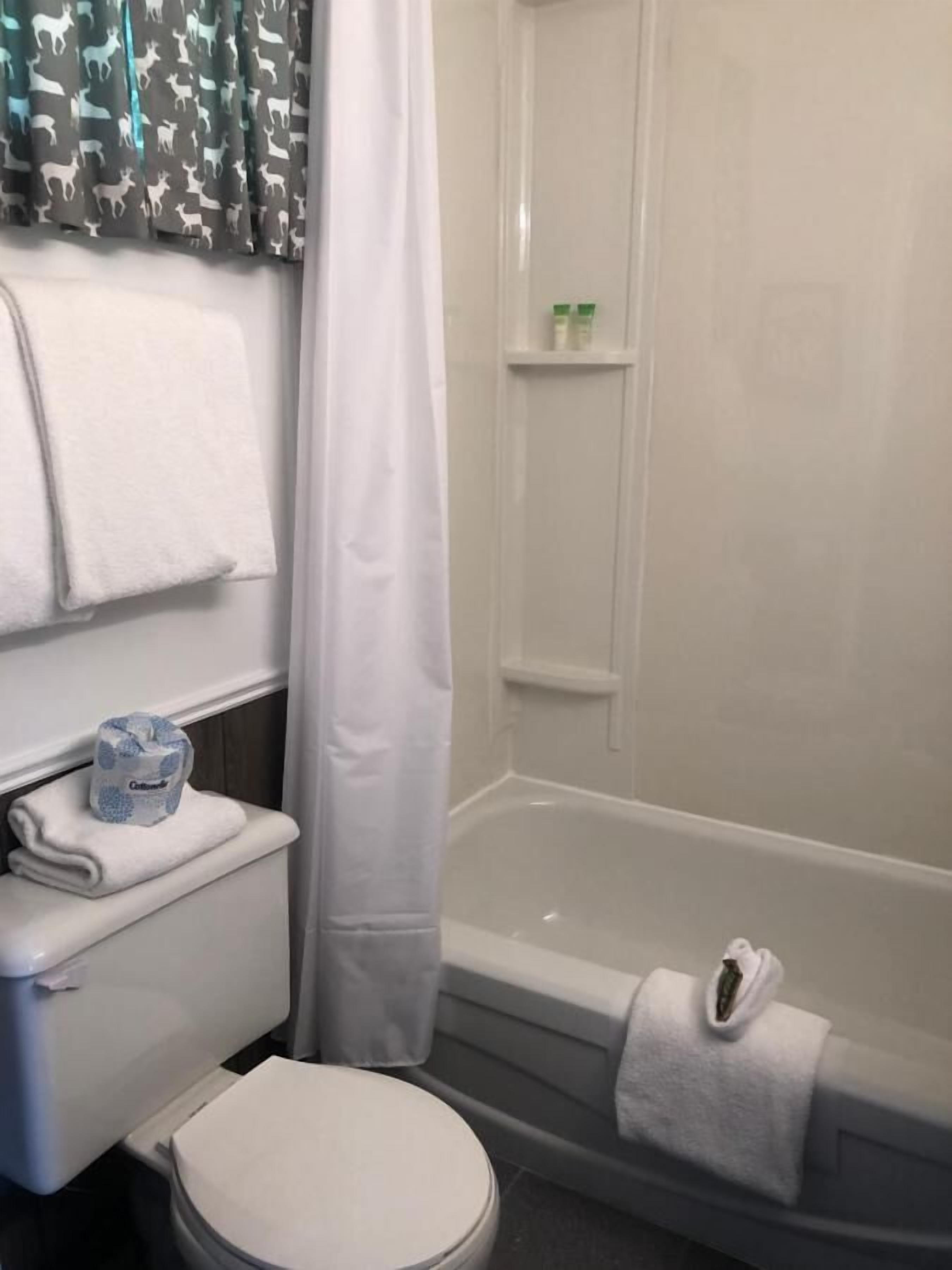 A bathroom with a toilet, a bathtub, and a shower curtain.