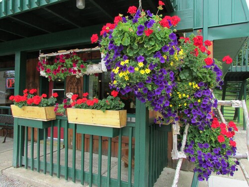 Dwight Village Motel