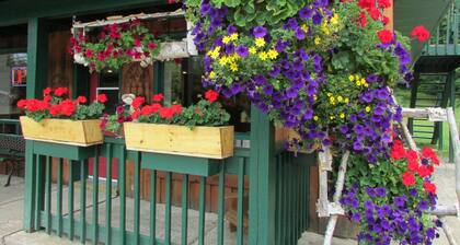 Dwight Village Motel