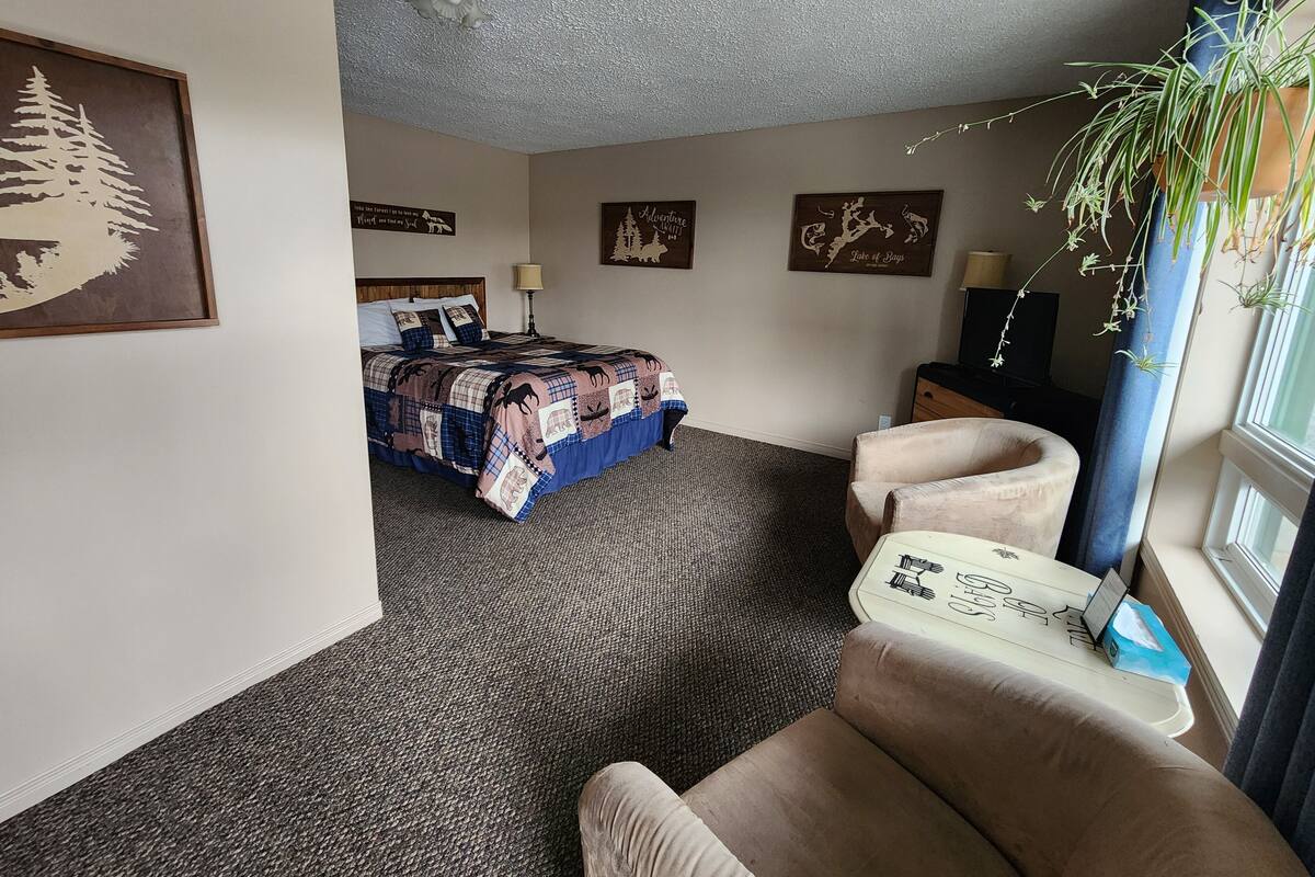 Une chambre d’hôtel avec un lit, un canapé, un bureau et une fenêtre agrémentée d’une plante.