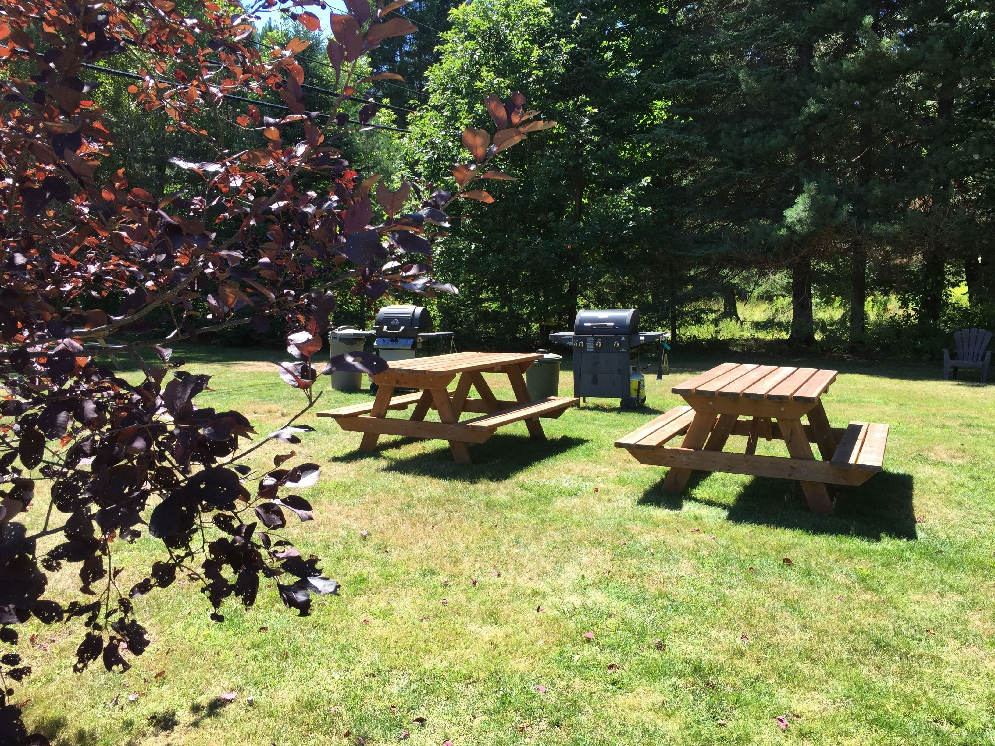 A picnic area with wooden tables and a barbecue grill.