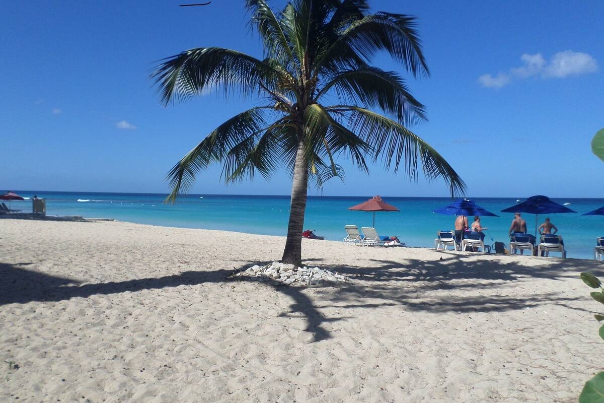 A beach with a palm tree, clear blue sky, and a calm sea.