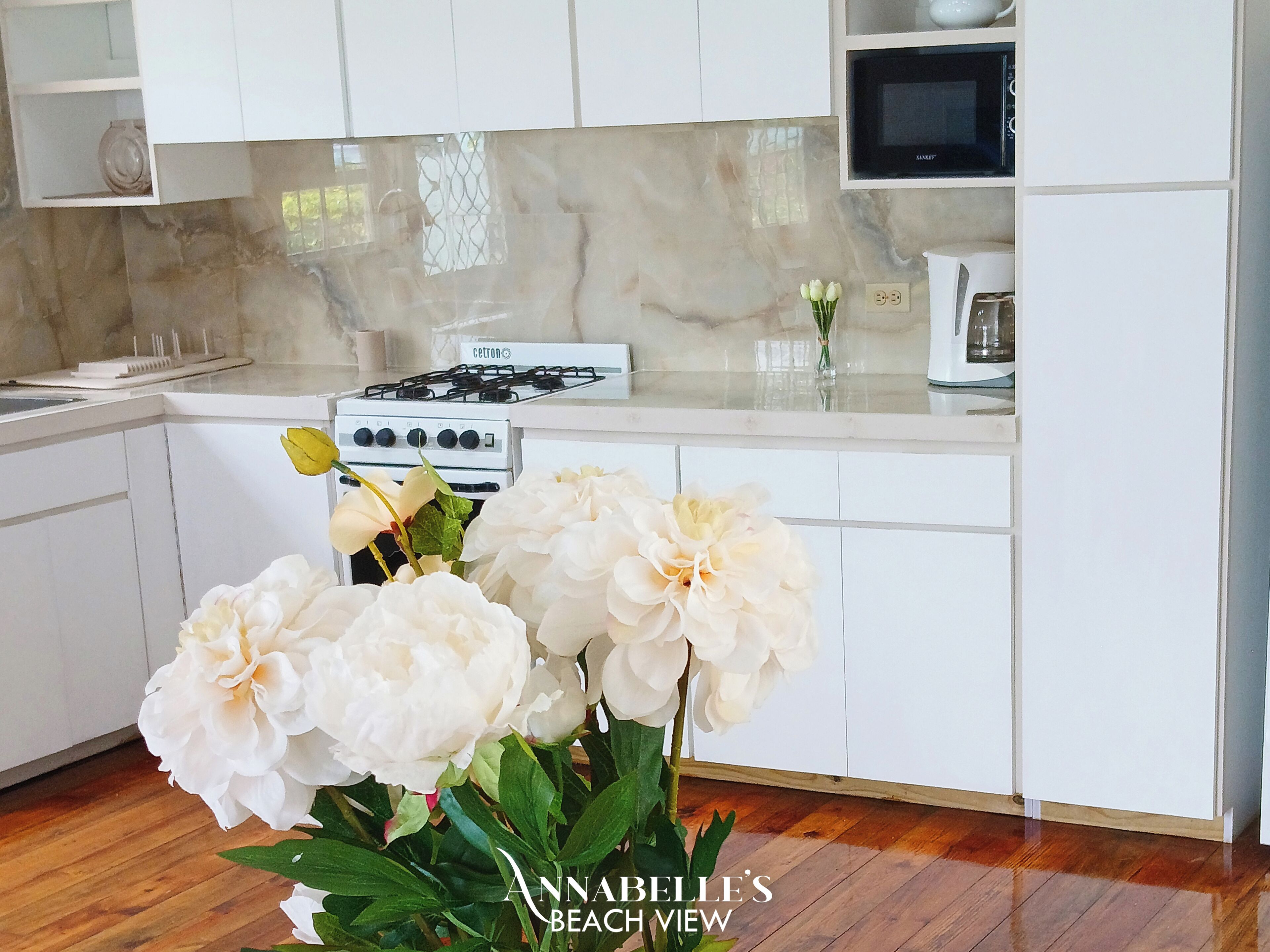 Fridge, microwave, stovetop, coffee/tea maker