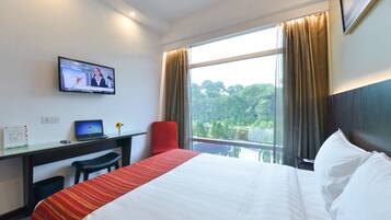 Premier Double or Twin Room | Pemandangan dari kamar