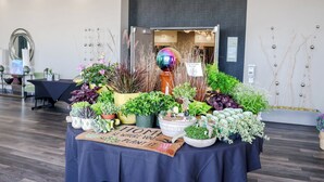 A display of various potted plants and a decorative globe on a table in a modern interior space. - Holiday Inn & Suites Peoria At Grand Prairie by IHG (Peoria)