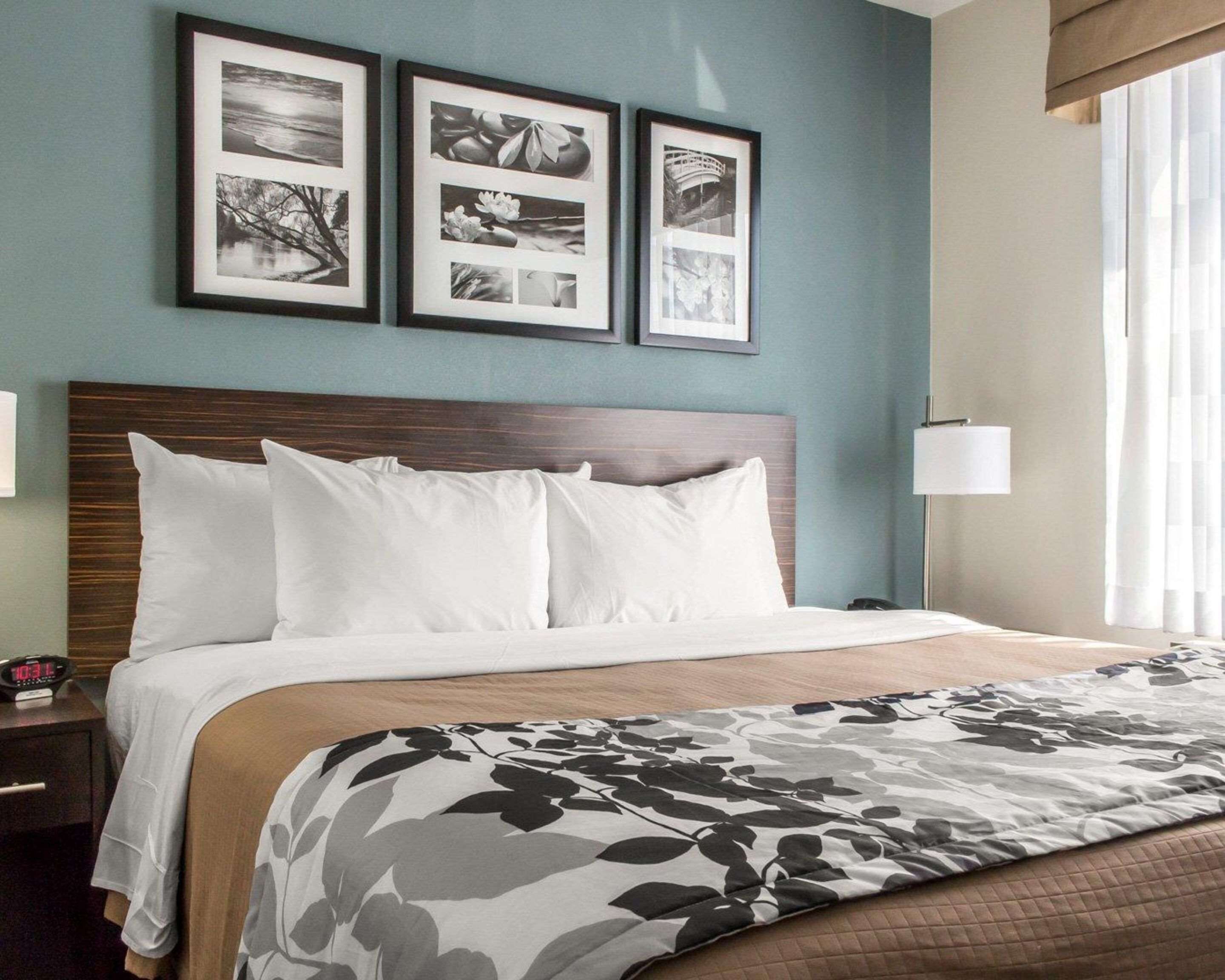 Habitación estándar, 1 cama de matrimonio grande, no fumadores | Caja fuerte, escritorio, espacio para trabajar con un portátil