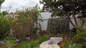 A garden with a stone pathway, cacti, and various flowering plants.