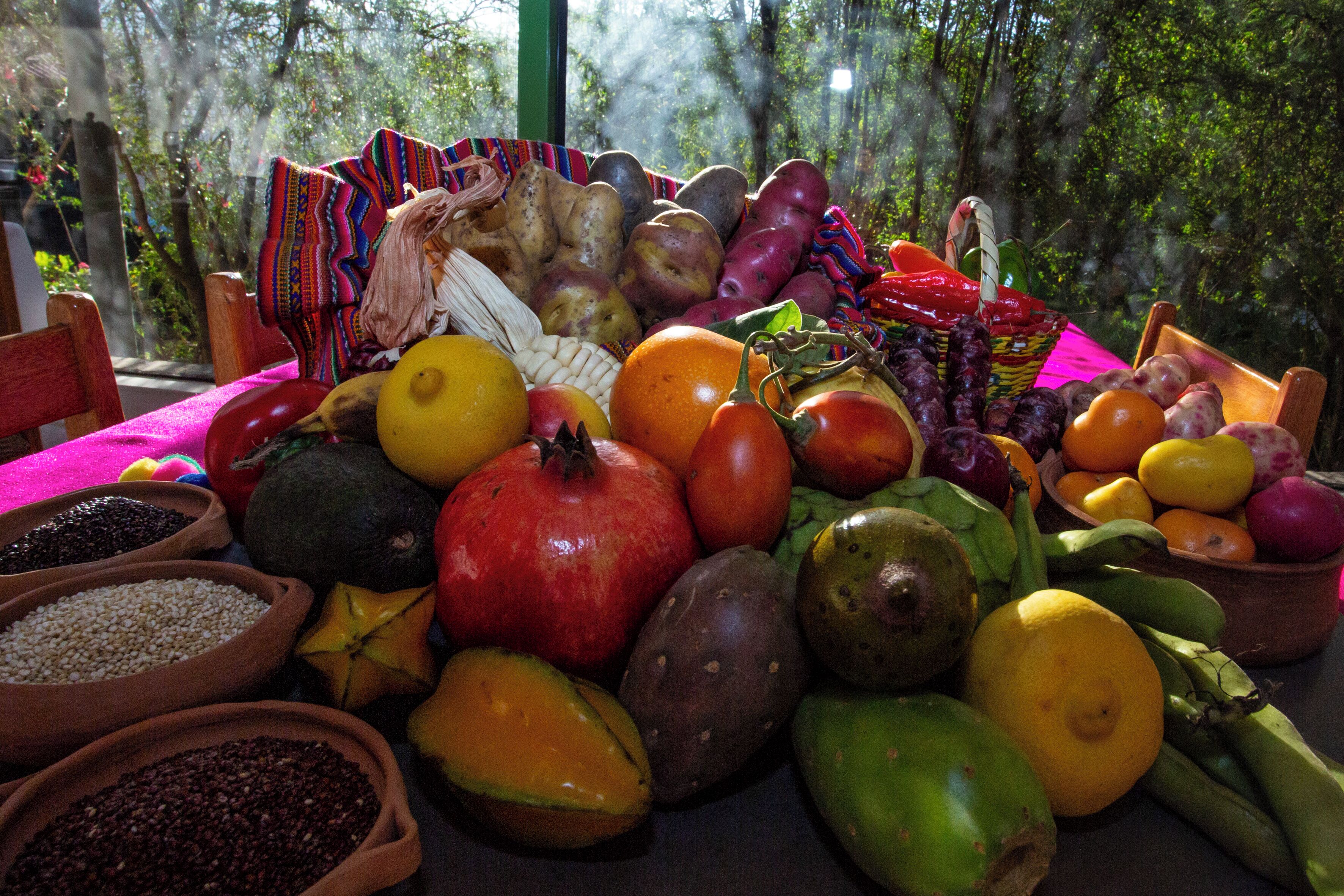 A table with a variety of fruits and vegetables, including apples, oranges, and tomatoes, arranged on a tablecloth.