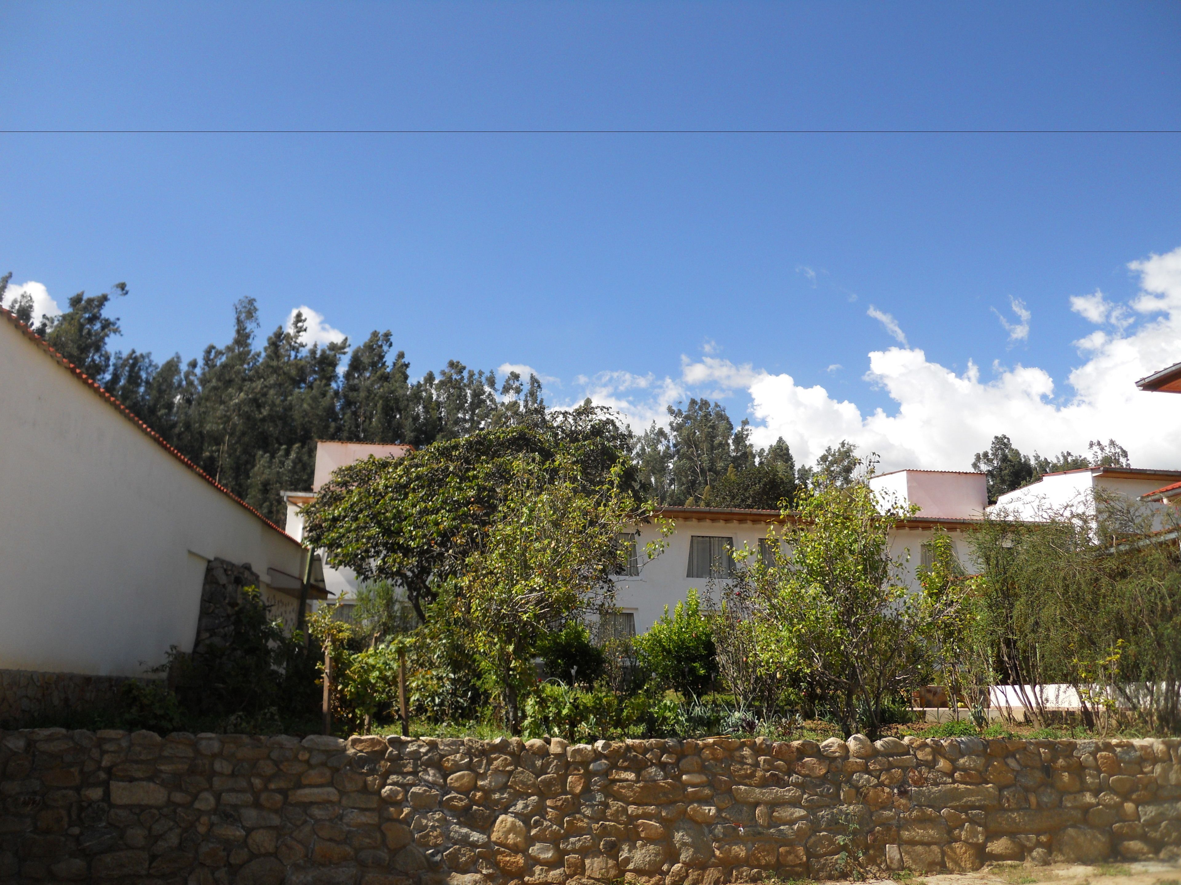 A residential area with stone walls, houses with red roofs, and trees.