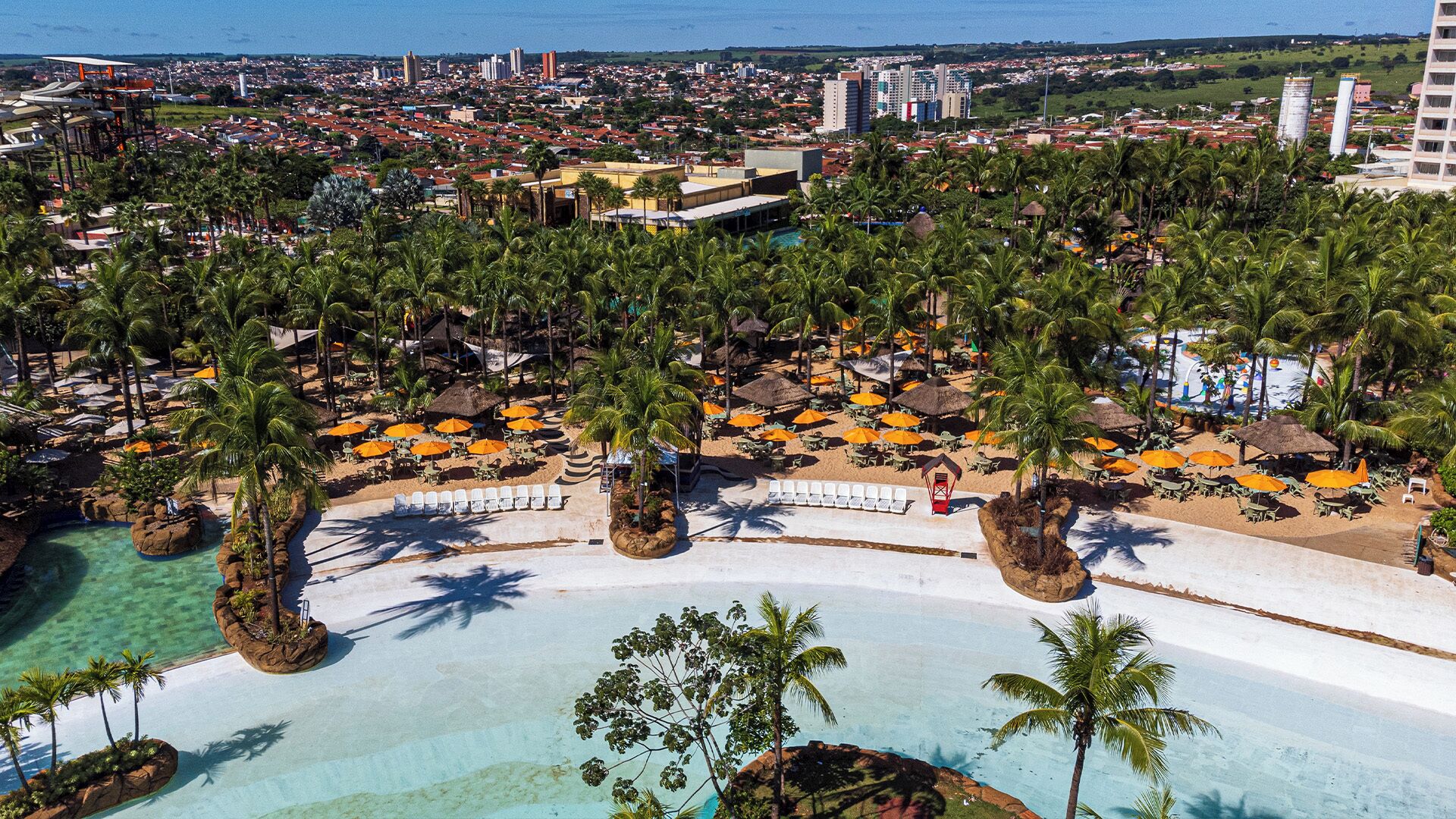Un resort con piscina rodeada de palmeras y tumbonas.