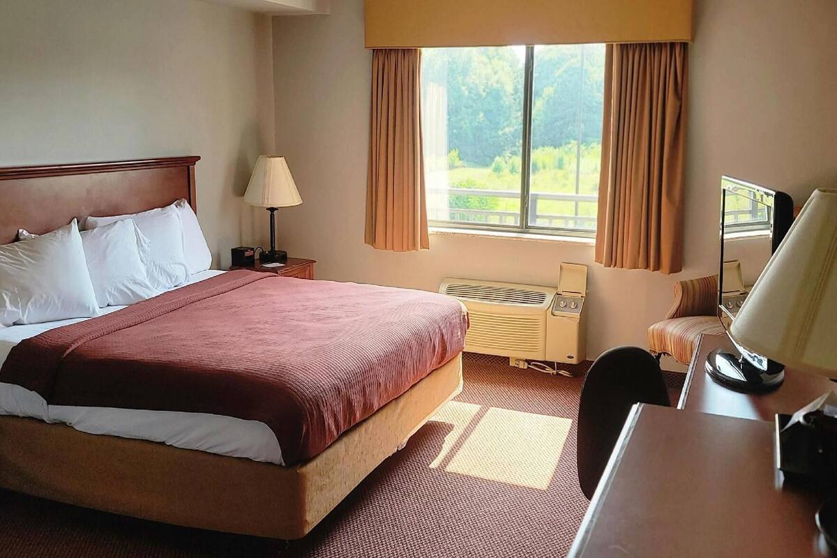 Blackout curtains, soundproofing, iron/ironing board