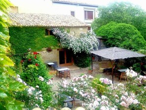 Property grounds - El Corral de Concilio (Murillo de Gallego)