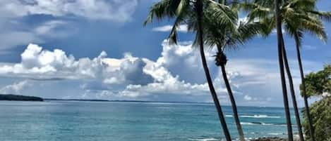 On the beach, sun-loungers, beach umbrellas, beach towels