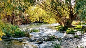 Um rio serpenteando por uma área florestada, com árvores e pedras.