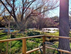 Hummingbird Room | View from room