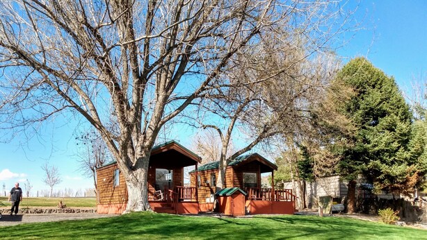 A cabin with a porch and a large tree in front. - Billingsley Creek (Hagerman)