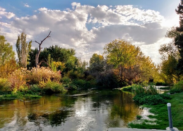 A serene riverside landscape with trees and greenery. - Billingsley Creek (Hagerman)