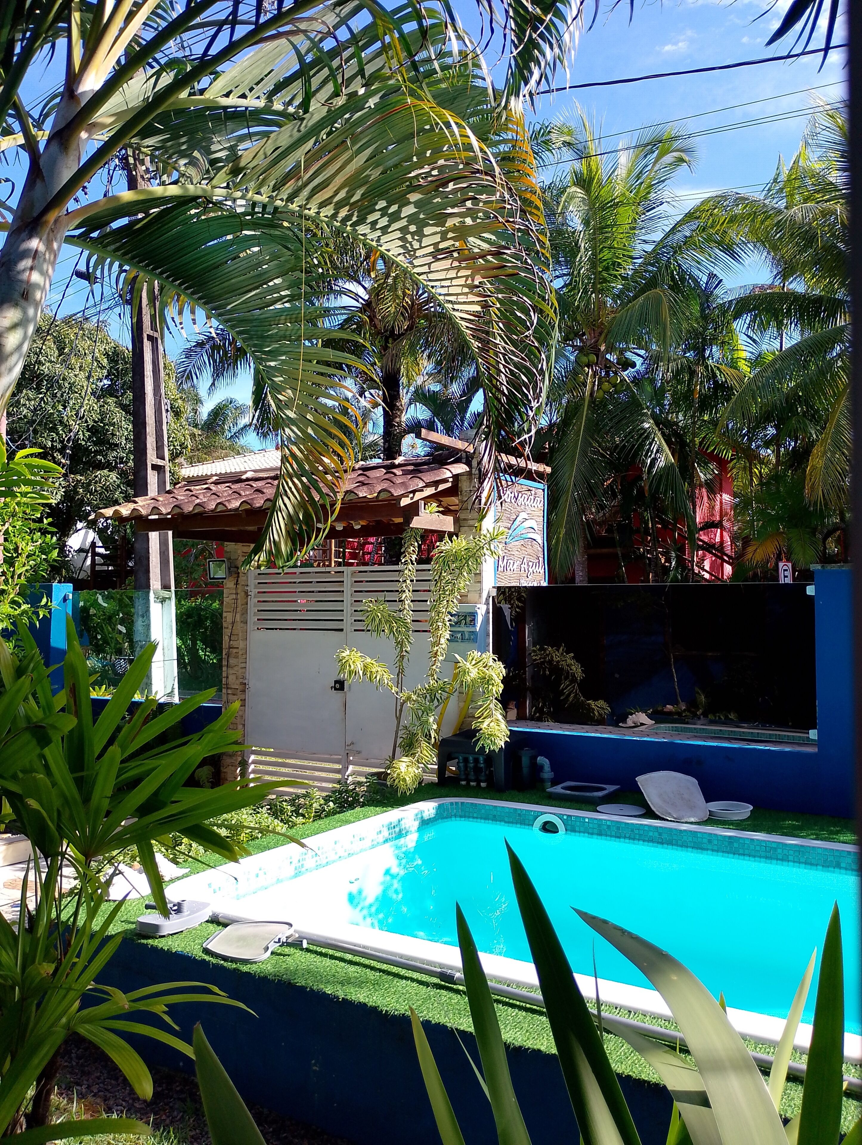 A swimming pool surrounded by lush greenery and a small building with a tiled roof.
