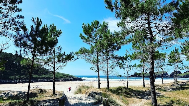 A sandy beach path with pine trees, leading to a beach with people and a clear blue sky. - Casa Rural O Vilar (Ortigueira)