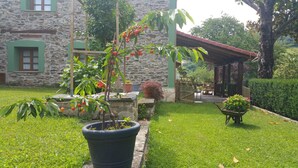 A stone building with a covered patio and a garden with a potted tree and a wheelbarrow. - La Pumarada de Limés (Cangas del Narcea)