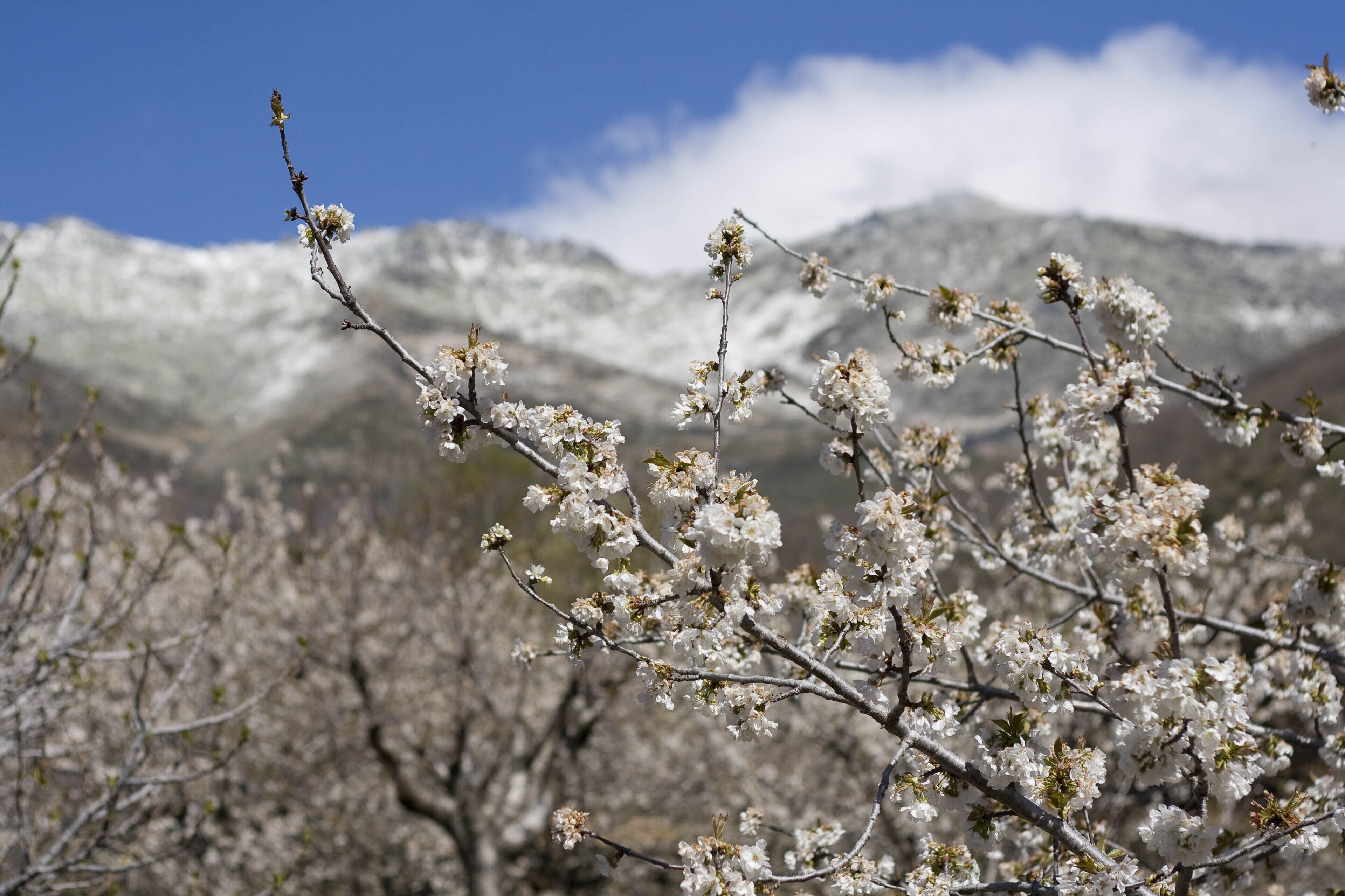 Foto - Casa Rural del Corral