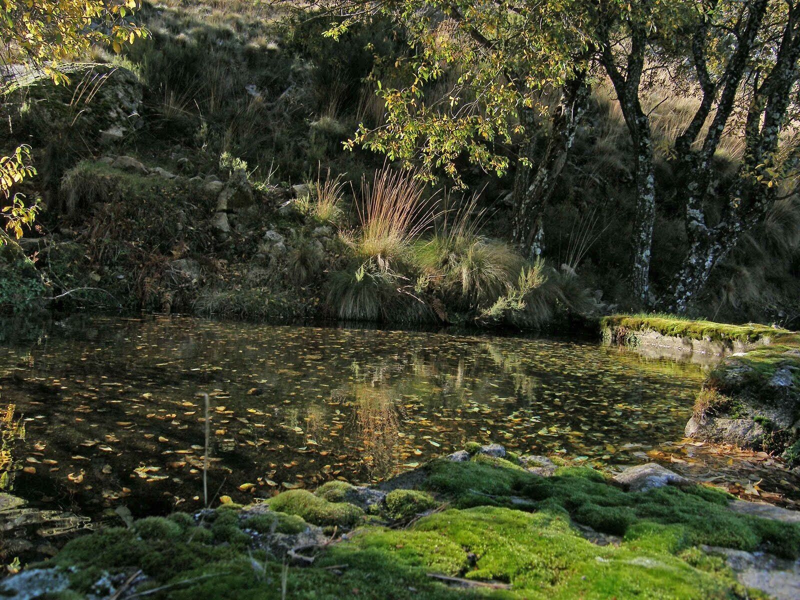 Foto - Casa Rural del Corral