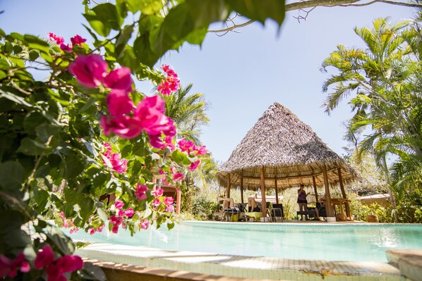 Outdoor pool, pool umbrellas, pool loungers