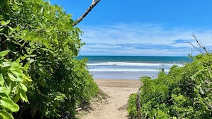 Un sendero de tierra que lleva a una playa bordeada de vegetación exuberante.