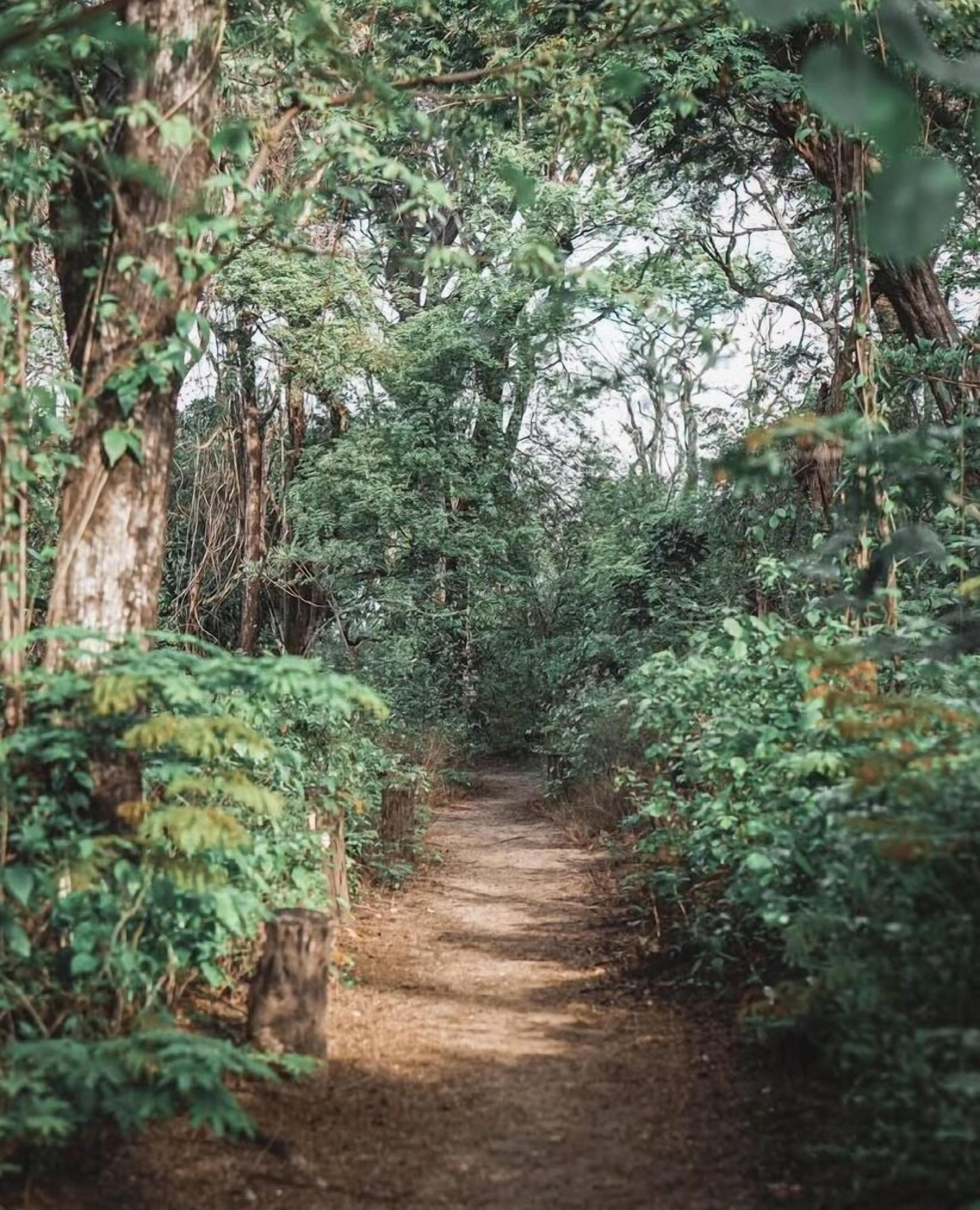 beach nearby, beach umbrellas, beach towels, beach yoga