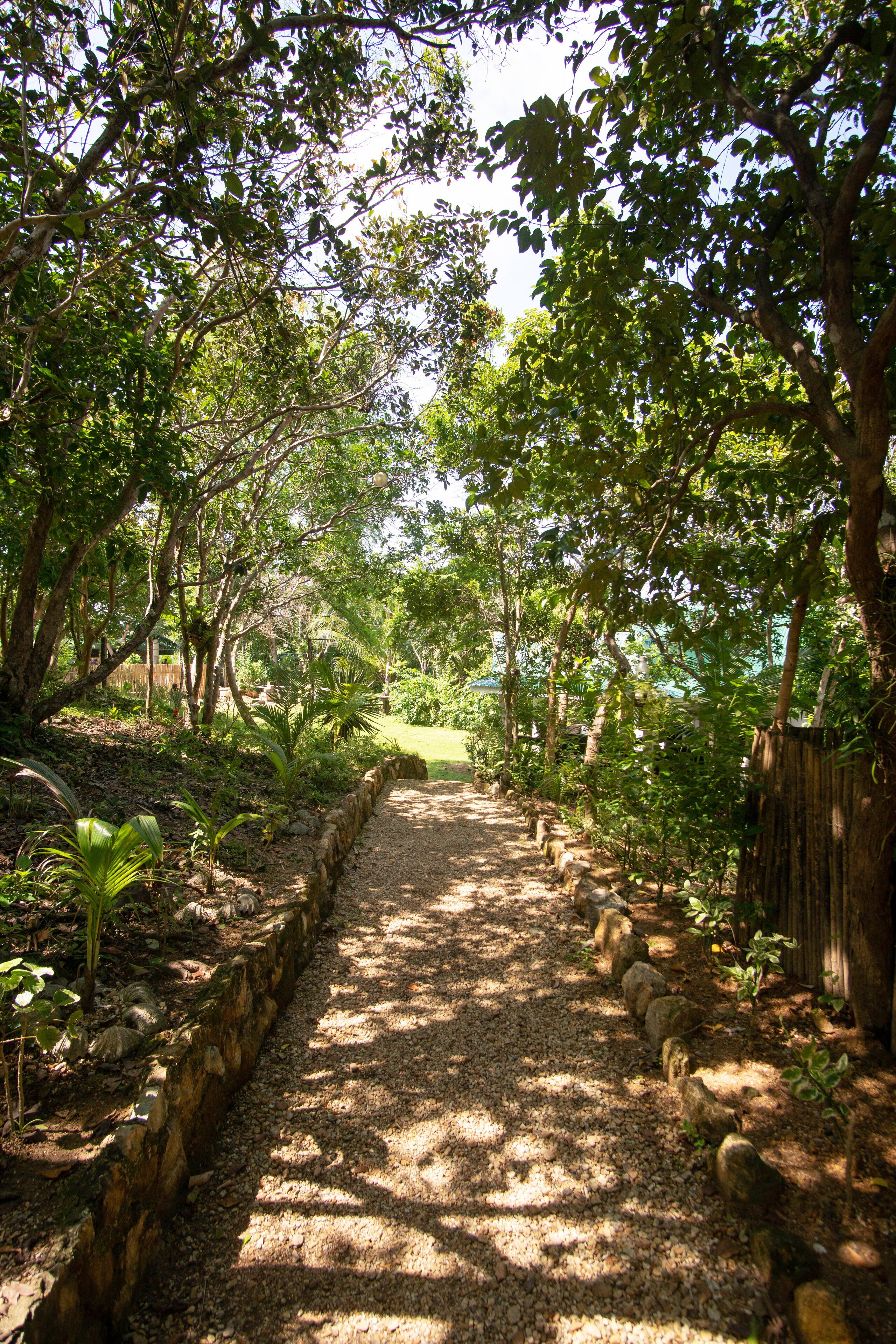 Taman