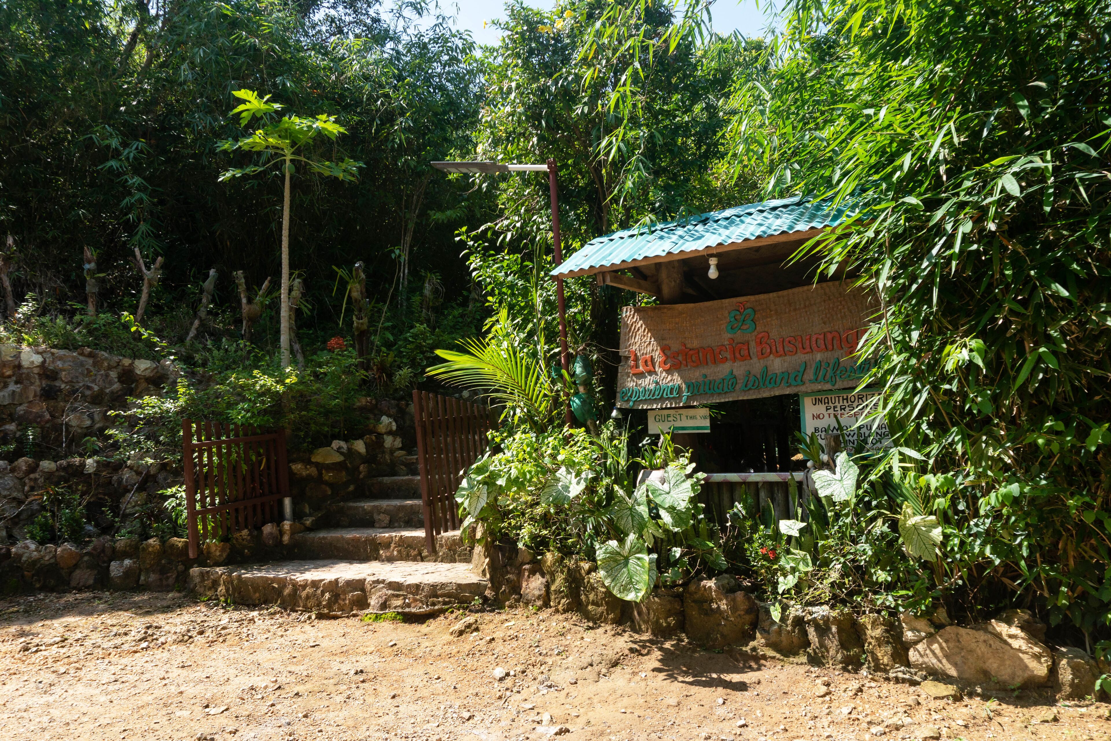 A rustic guesthouse with a thatched roof, surrounded by dense tropical vegetation.