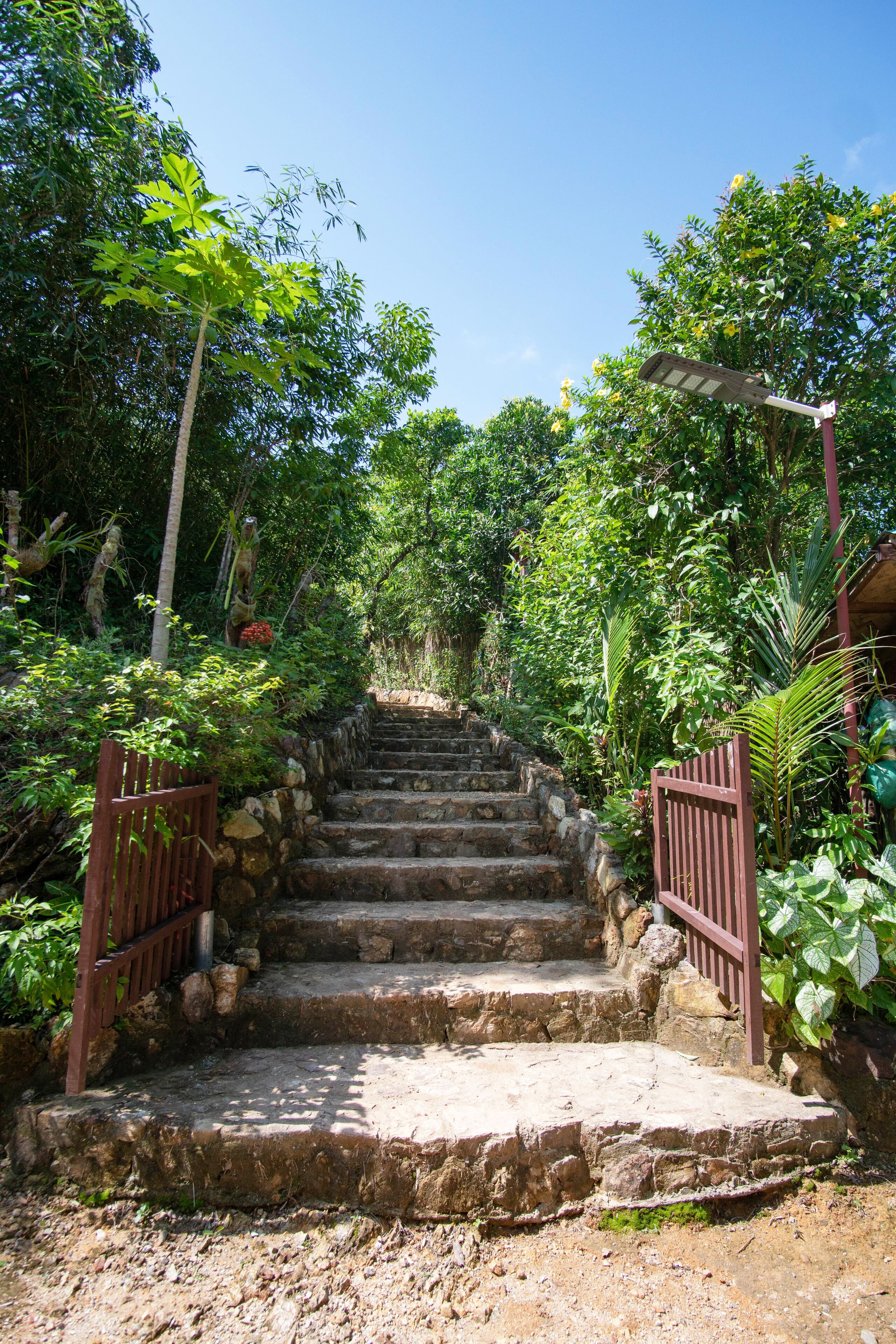 A set of stone steps leading up to a wooden gate, surrounded by lush greenery and trees.