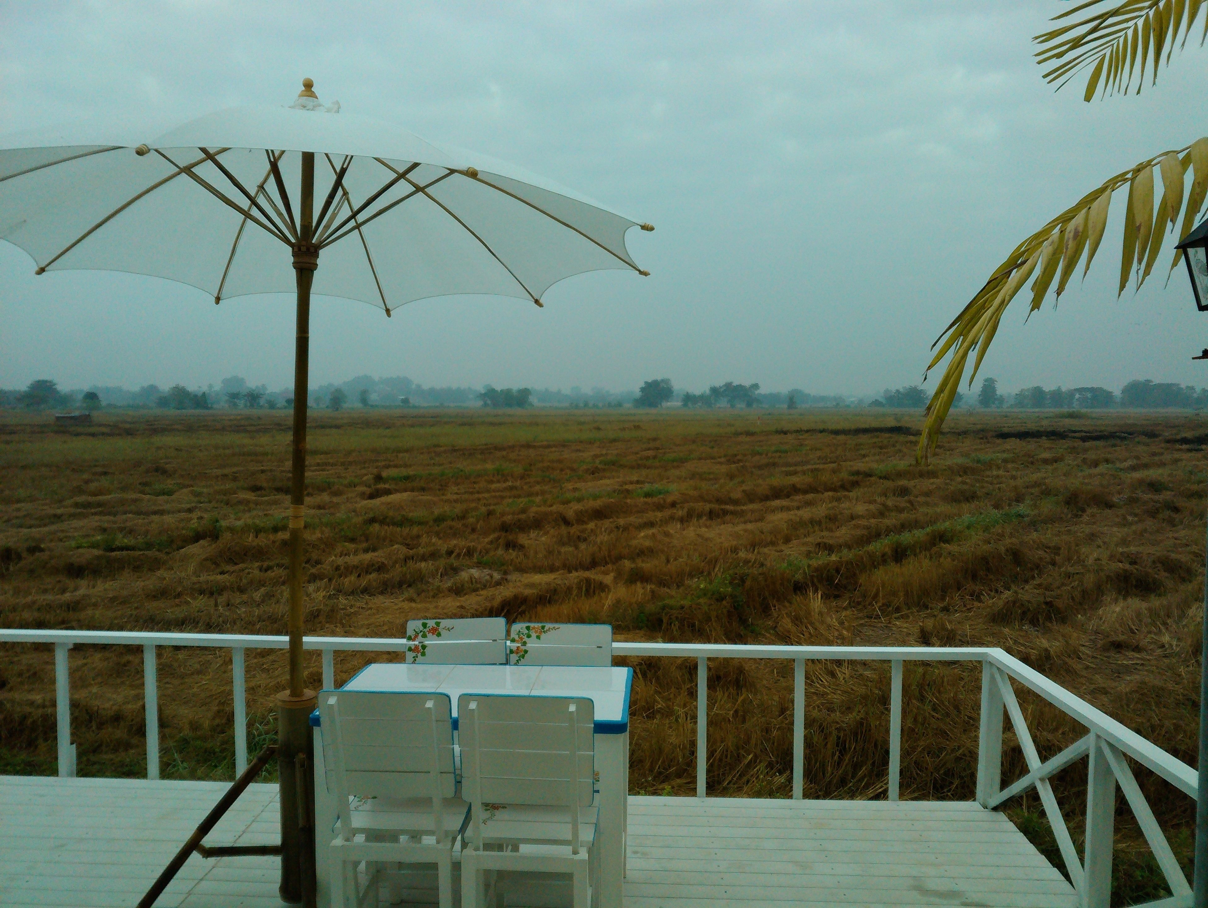 วิวภูเขา