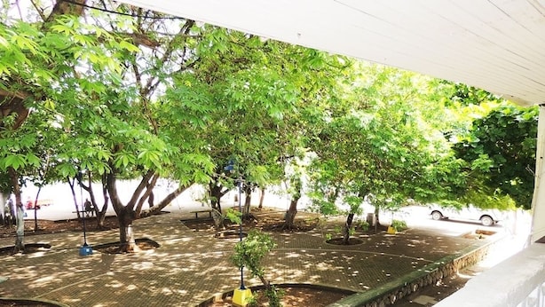 An outdoor area with a paved walkway, trees, and a stone wall. - Casa Vacacional Manatwar 2 (San Andrés)