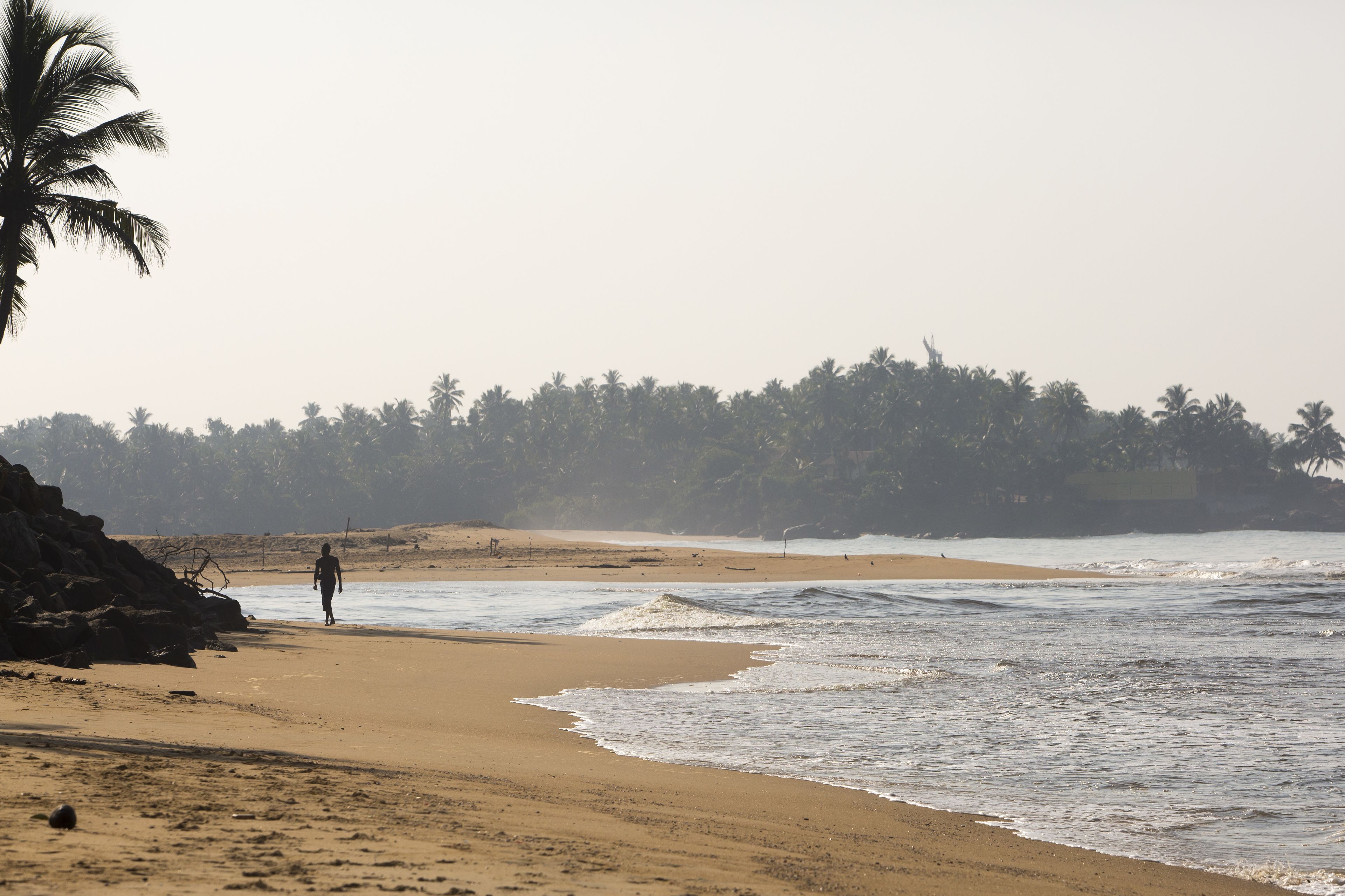 Une plage où une personne se promène le long du rivage, avec des palmiers en arrière-plan et un promontoire rocheux sur la gauche.