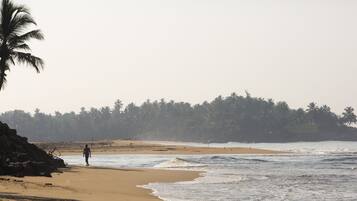 Une plage où une personne se promène le long du rivage, avec des palmiers en arrière-plan et un promontoire rocheux sur la gauche.