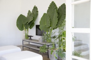 Interior detail - Arabella on Boossa (Boossa)