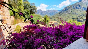 Vista de un paisaje montañoso con una casa en el valle, rodeada de abundante vegetación y flores de buganvilla moradas.