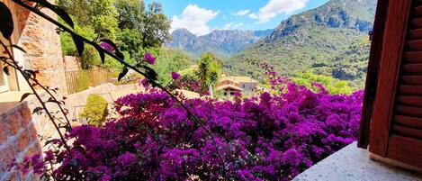A view of a mountain landscape with a house in the valley, surrounded by lush greenery and purple bougainvillea flowers.