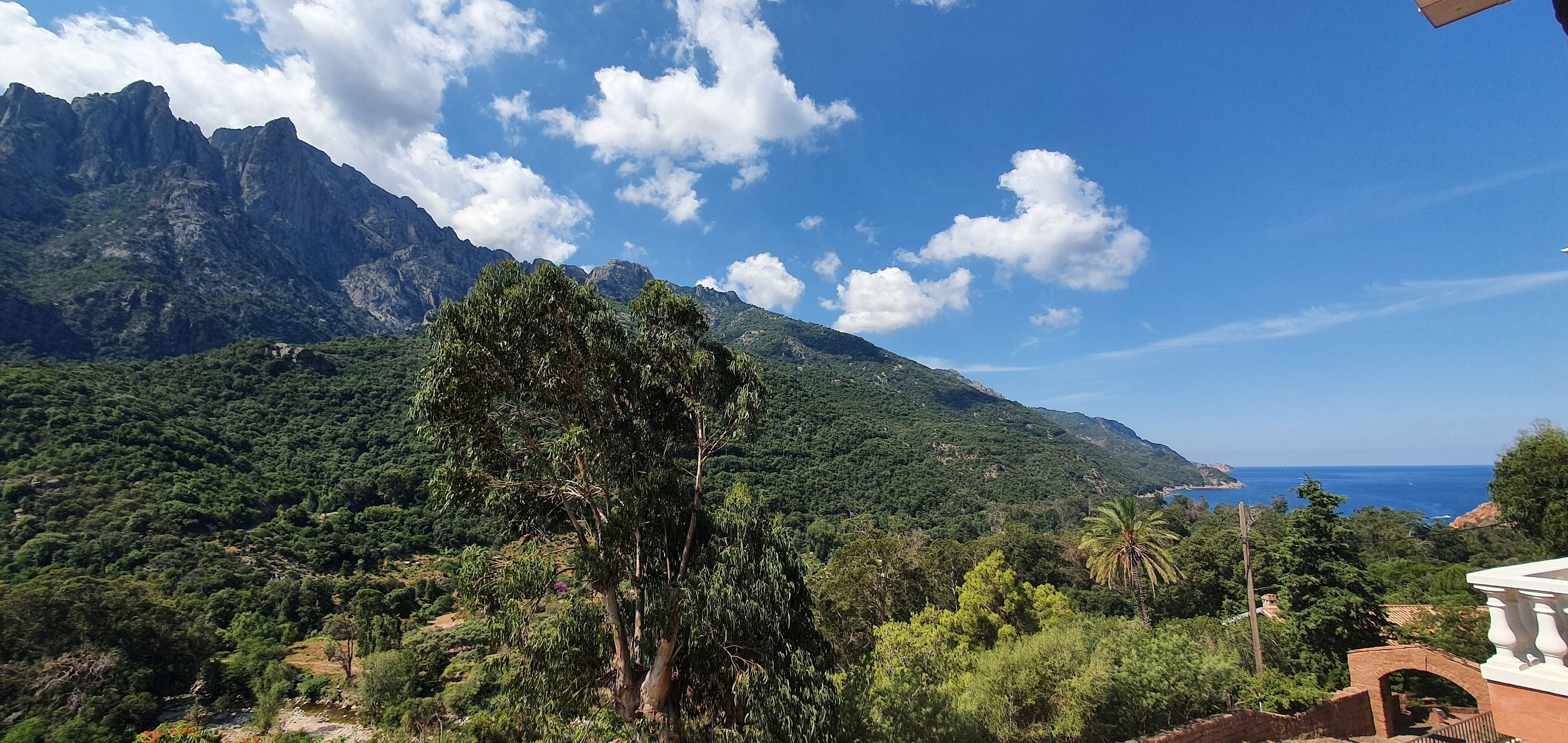 Un paysage montagneux, caractérisé par une végétation luxuriante et une vue dégagée sur l’océan.