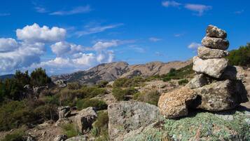 Paisaje rocoso con un montículo de piedras y vegetación escasa.