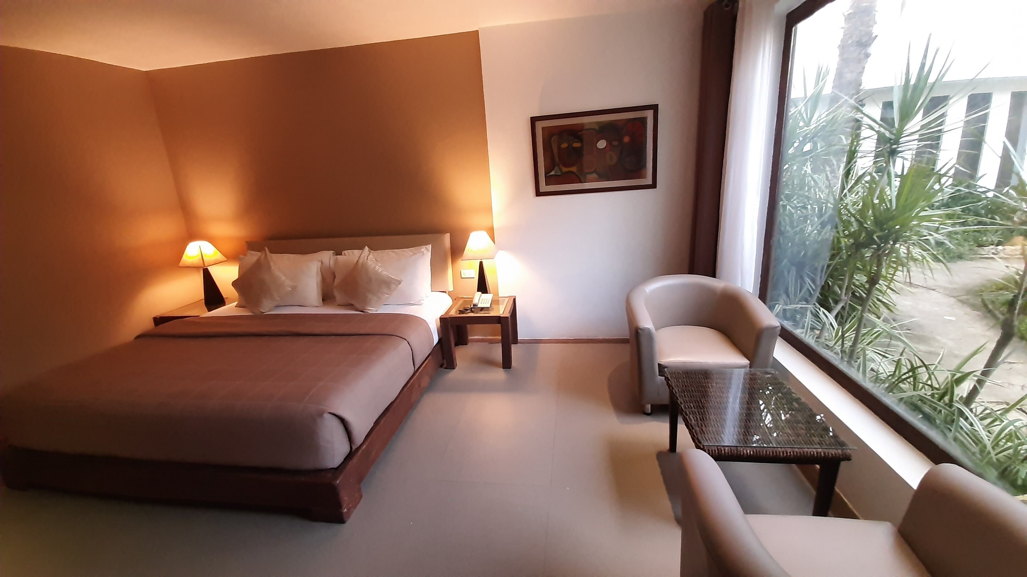 deluxe king room | view from room